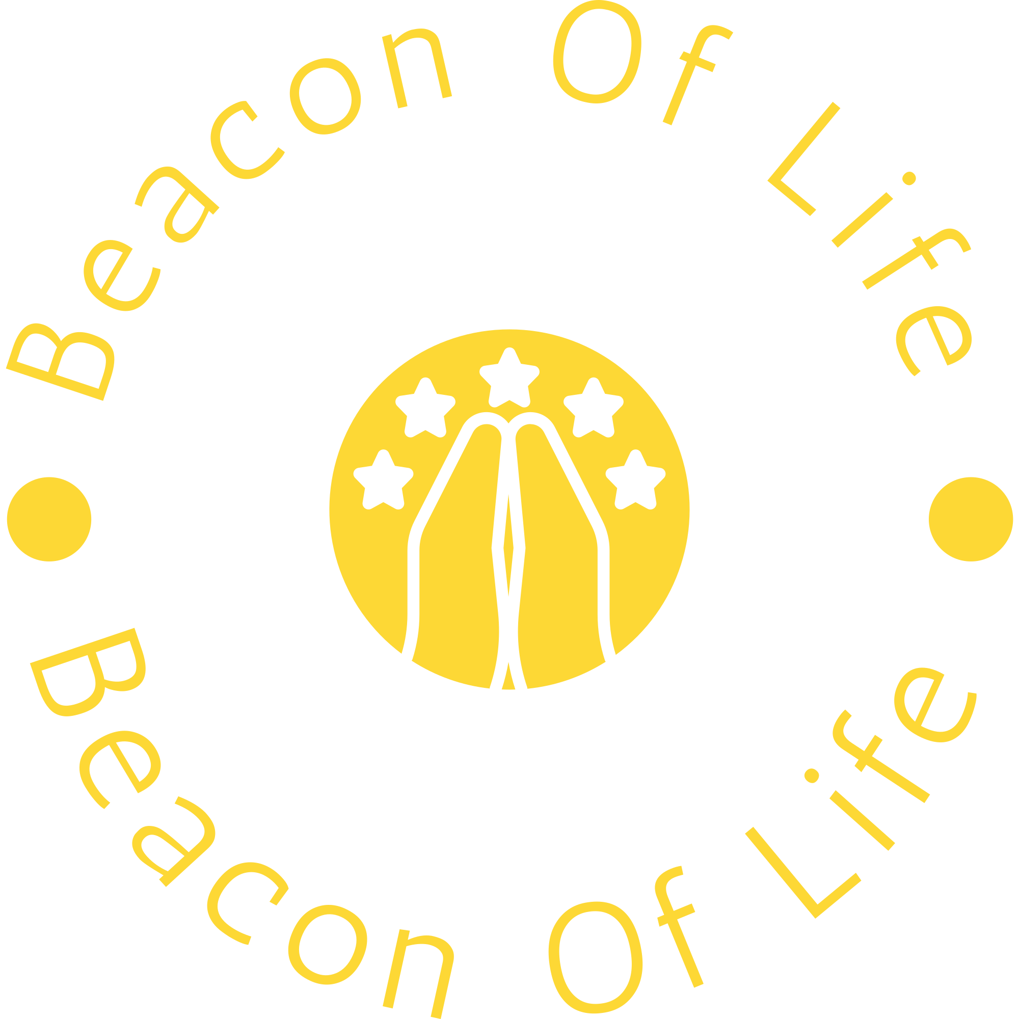 Beacon Of Life Project